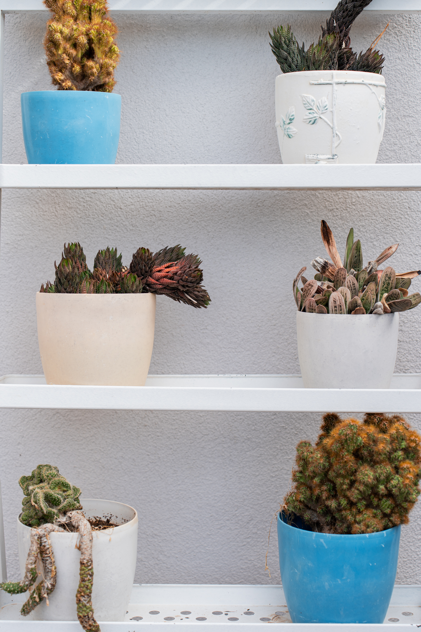 Architectural photograph